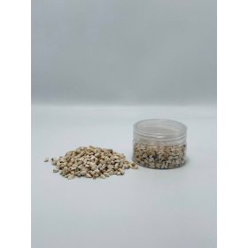 بذور العصفر